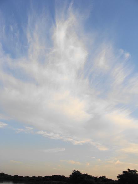 e0123808_22542512.jpg