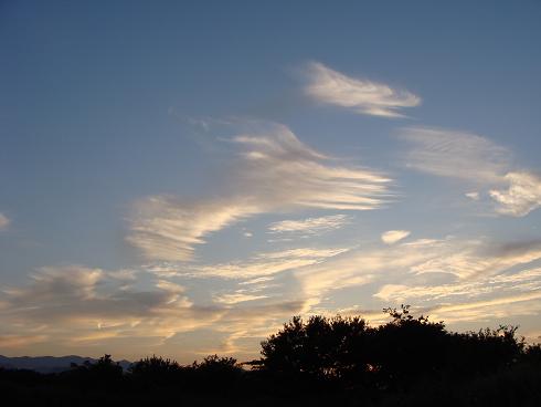 e0123808_2254579.jpg
