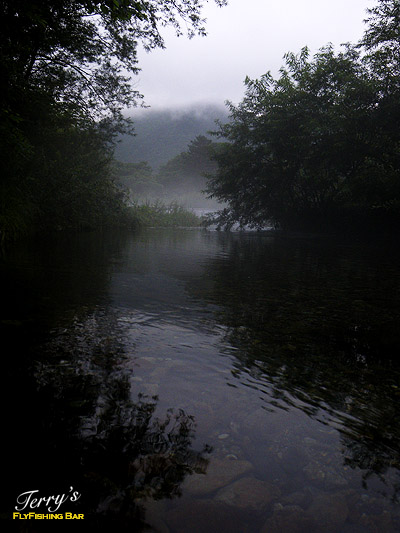 e0009009_021588.jpg
