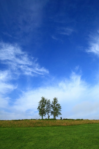 c0146510_14552125.jpg