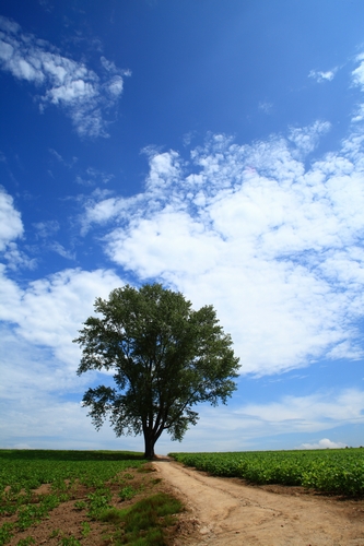 c0146510_1456974.jpg