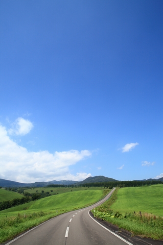 c0146510_1458517.jpg