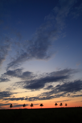 c0146510_1515818.jpg