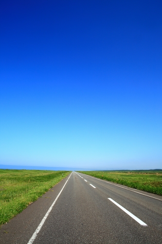 c0146510_1543970.jpg