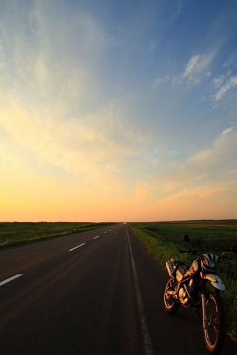 c0146510_1545430.jpg