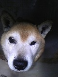 f0117111_0225171.jpg