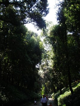 f0133814_19513314.jpg