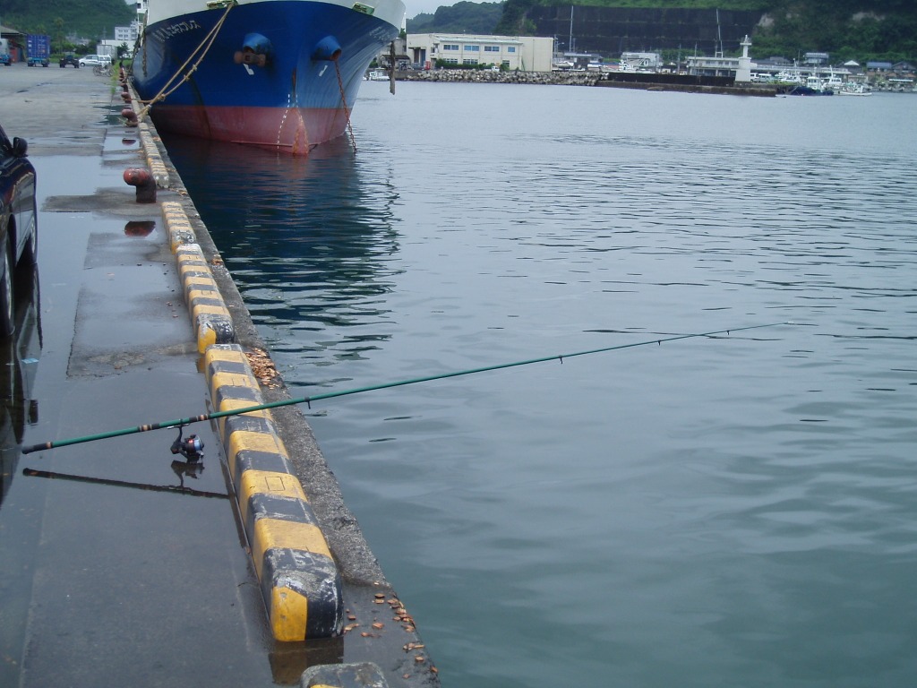 d0119915_14464853.jpg