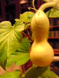 f0053615_21334441.jpg