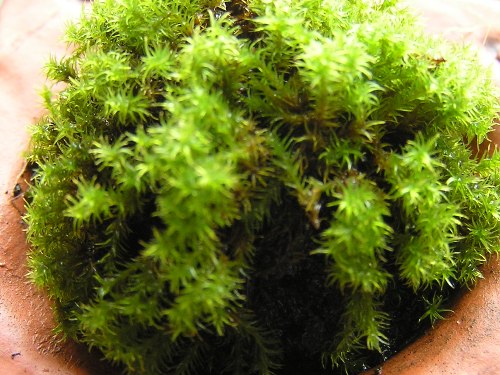 c0158916_21134155.jpg
