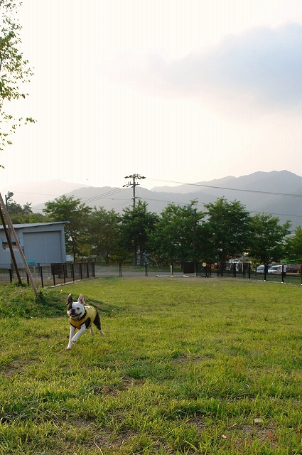 f0141516_1465984.jpg