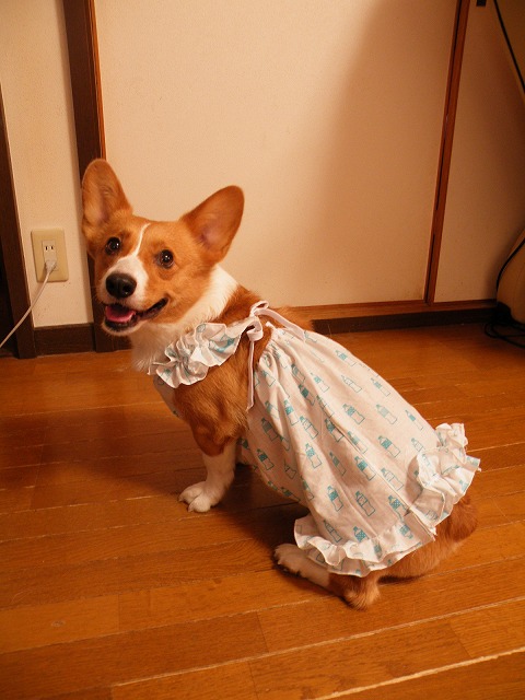 c0127617_910229.jpg