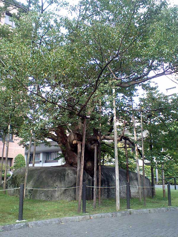 c0145418_18475513.jpg