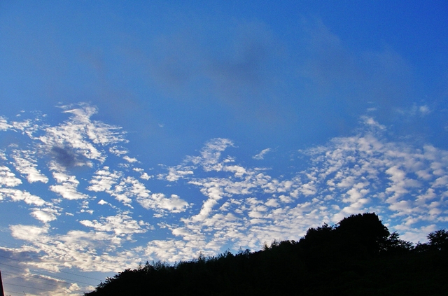 d0144618_21135882.jpg