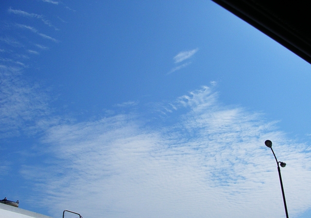 d0144618_21141420.jpg