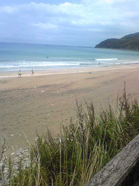 f0198620_1545372.jpg