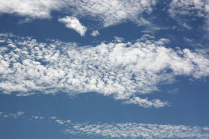 f0137324_20274873.jpg