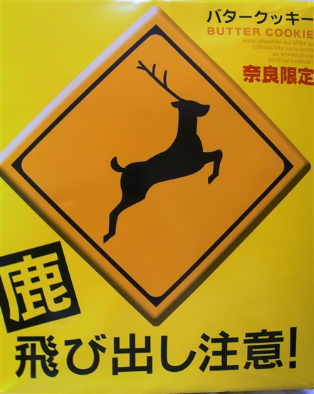 f0040525_1115020.jpg