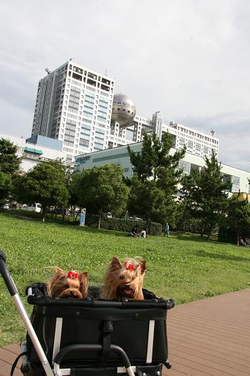 f0124830_16294415.jpg
