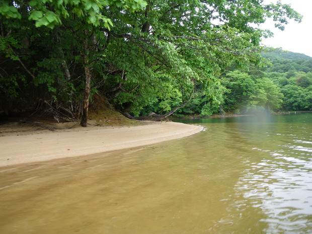 c0035931_21332436.jpg