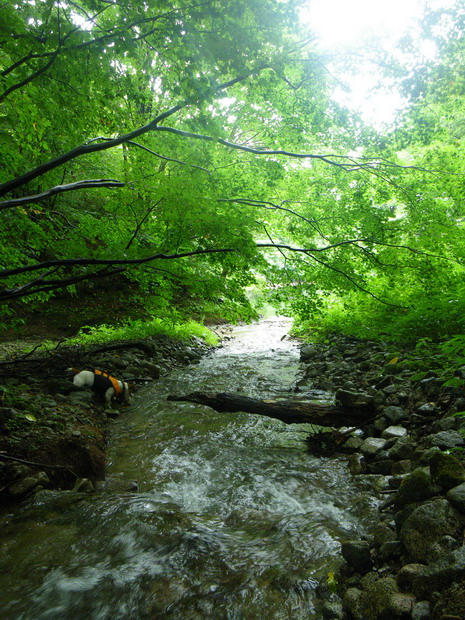 c0035931_21364894.jpg