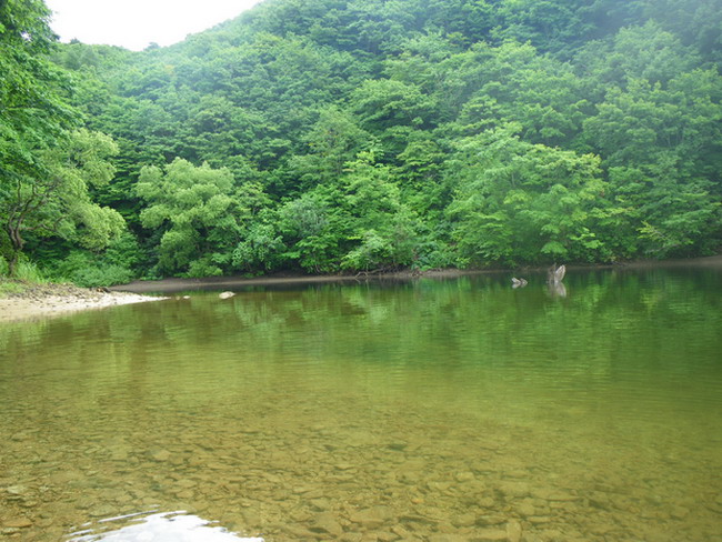 c0035931_21484815.jpg