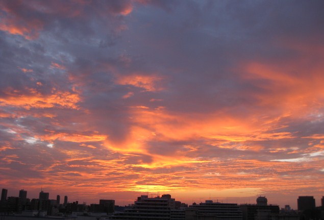 c0177332_2013641.jpg