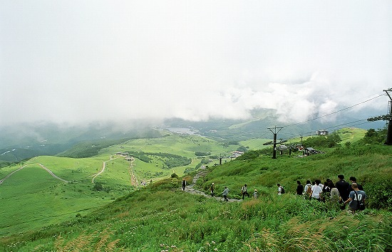 d0001533_16112698.jpg