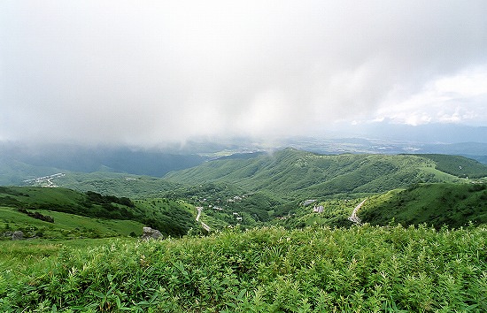d0001533_16124692.jpg