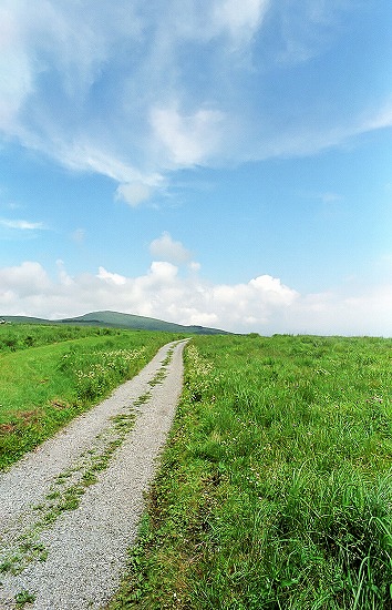 d0001533_16143031.jpg