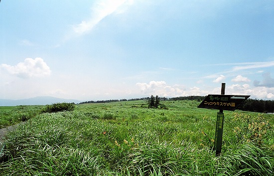 d0001533_16144547.jpg