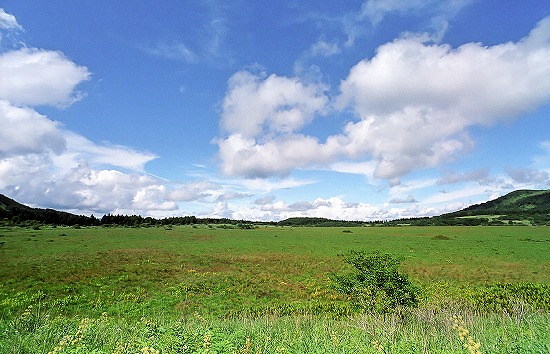 d0001533_16164875.jpg