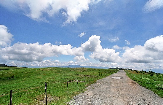 d0001533_16475863.jpg