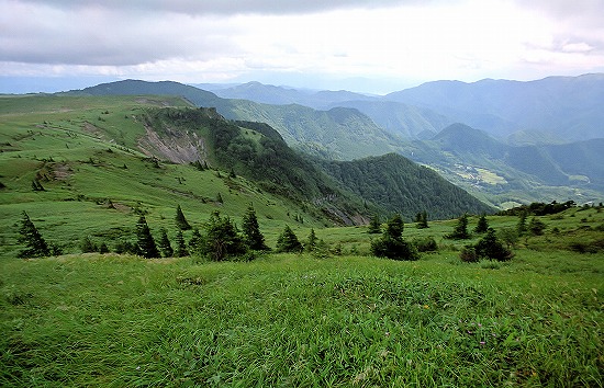 d0001533_16482772.jpg