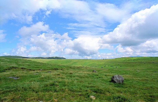 d0001533_16491749.jpg