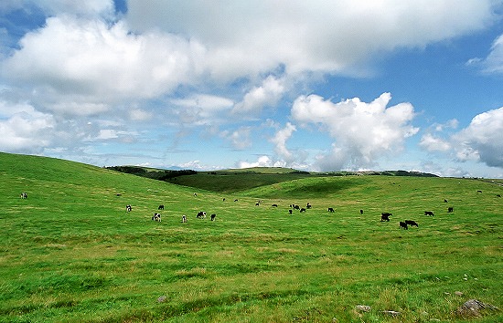 d0001533_16493014.jpg