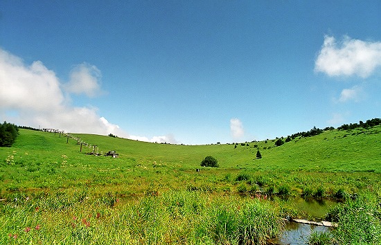 d0001533_1692544.jpg