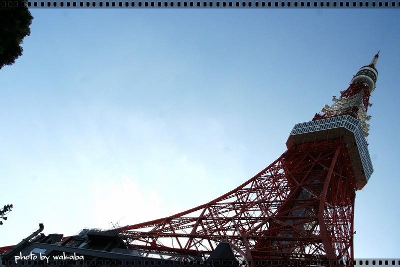 e0052135_14563894.jpg