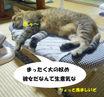 f0008935_14334520.gif