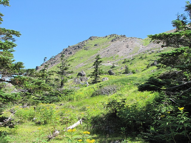 b0097836_1312943.jpg