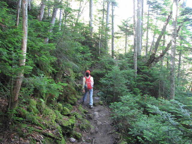 b0097836_1373975.jpg