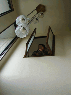 c0136736_21455911.gif