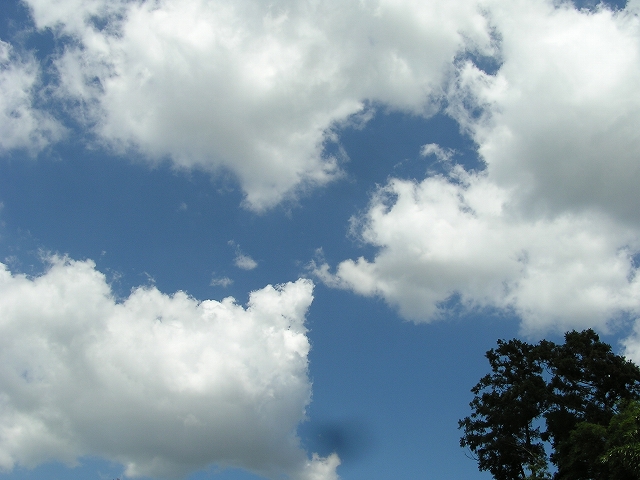 b0099538_17242261.jpg