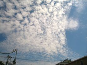 a0068339_13194922.jpg