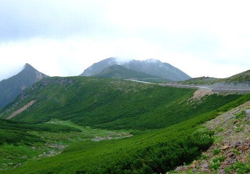 b0149340_1957216.jpg