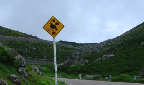 b0149340_20133835.jpg