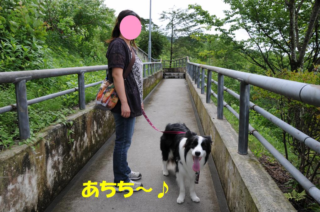 c0147241_19345174.jpg