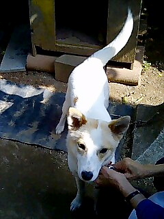 c0123149_2240188.jpg