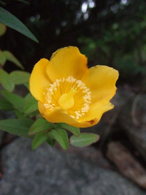 f0068649_2254759.jpg