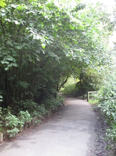 e0018350_6172029.jpg
